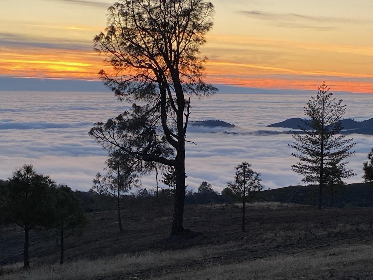 Greeley Hill Road, Coulterville, California image 1