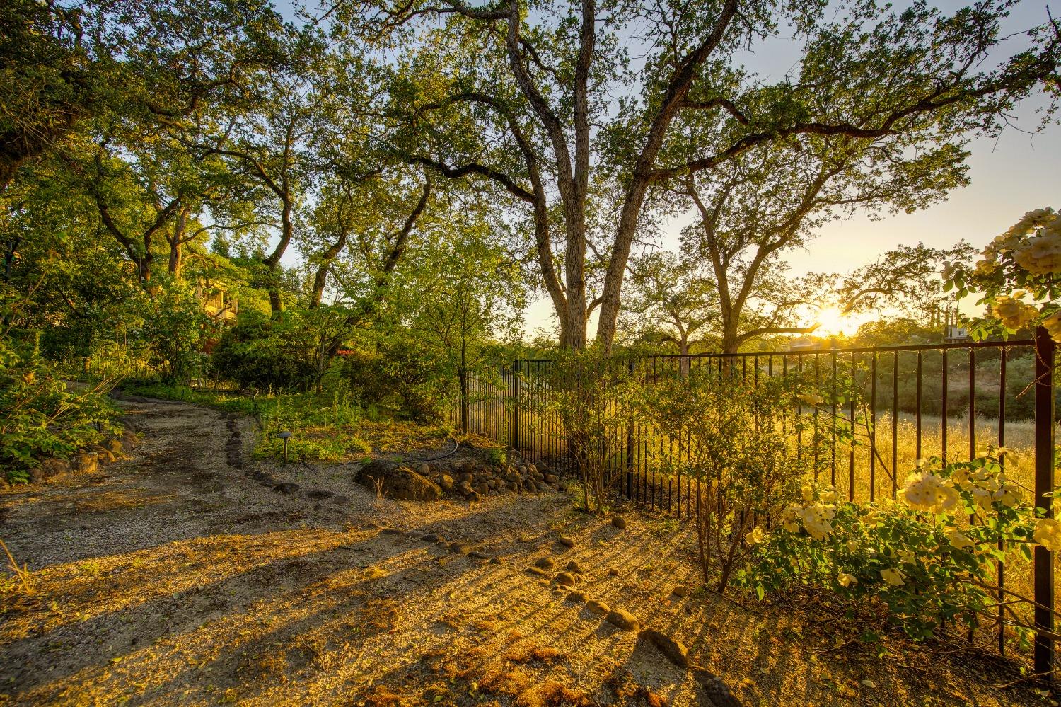 Detail Gallery Image 63 of 73 For 1797 Park Oak Dr, Roseville,  CA 95661 - 3 Beds | 2/1 Baths