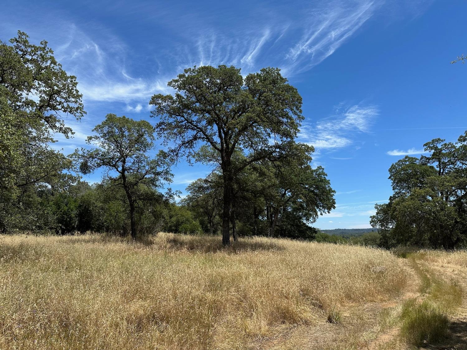 Detail Gallery Image 16 of 24 For 0 Yorkshire Dr, Penn Valley,  CA 95946 - – Beds | – Baths