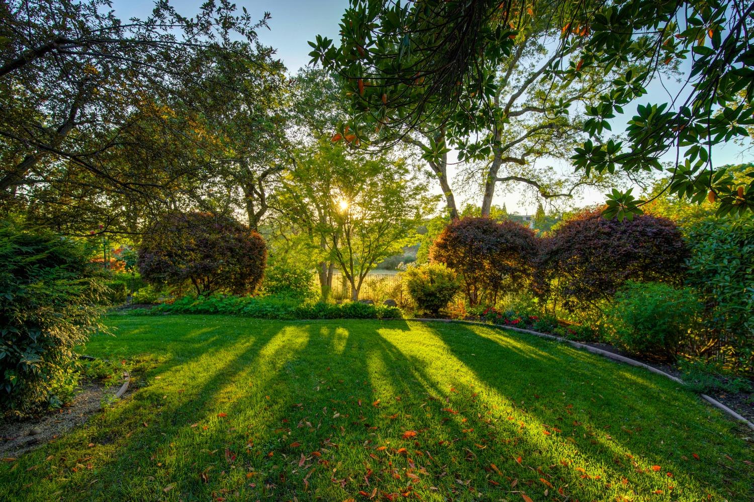 Detail Gallery Image 62 of 73 For 1797 Park Oak Dr, Roseville,  CA 95661 - 3 Beds | 2/1 Baths