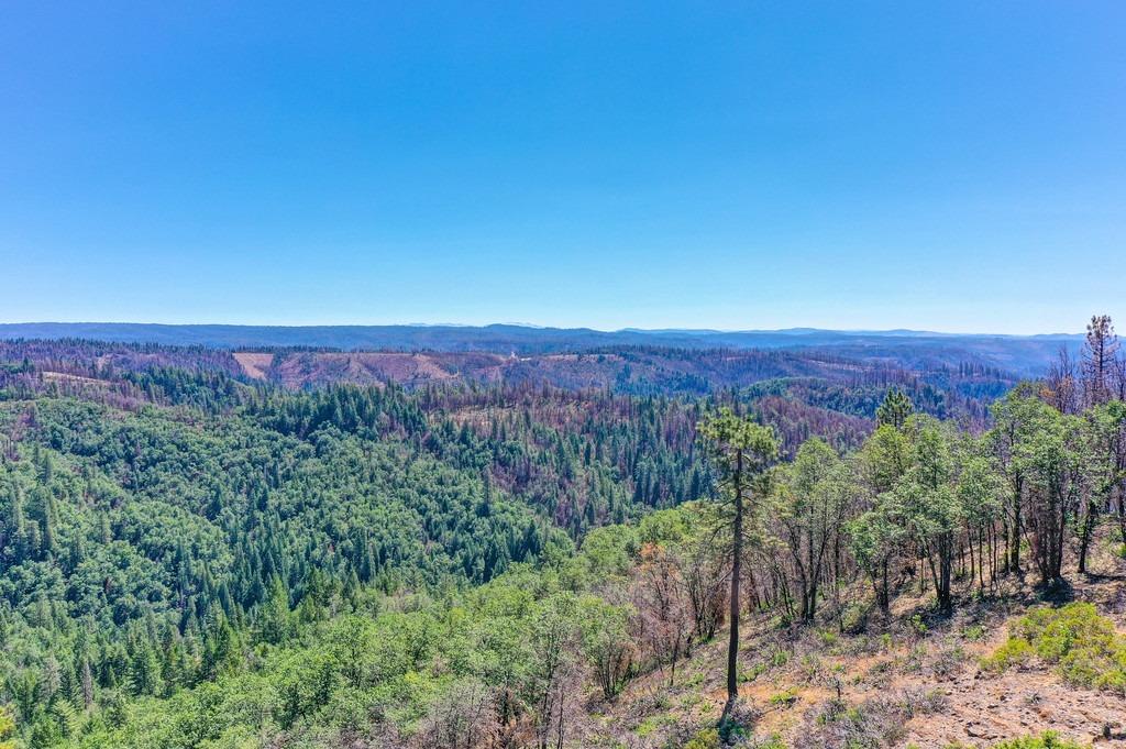 Detail Gallery Image 56 of 89 For 6440 Hidden Treasure Rd, Foresthill,  CA 95631 - 3 Beds | 2 Baths