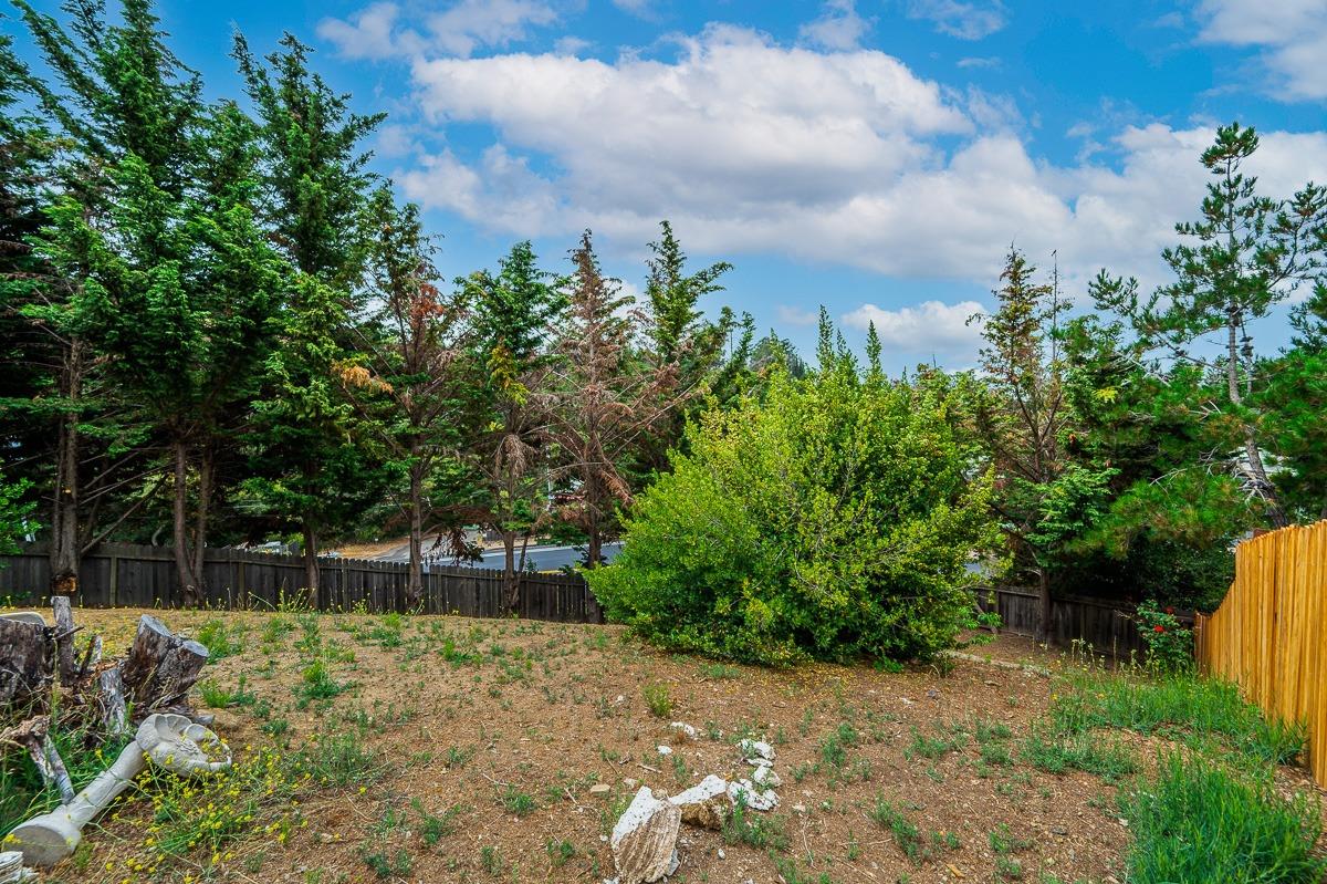 Detail Gallery Image 71 of 78 For 19765 Gannett Pl, Castro Valley,  CA 94552 - 4 Beds | 2/1 Baths