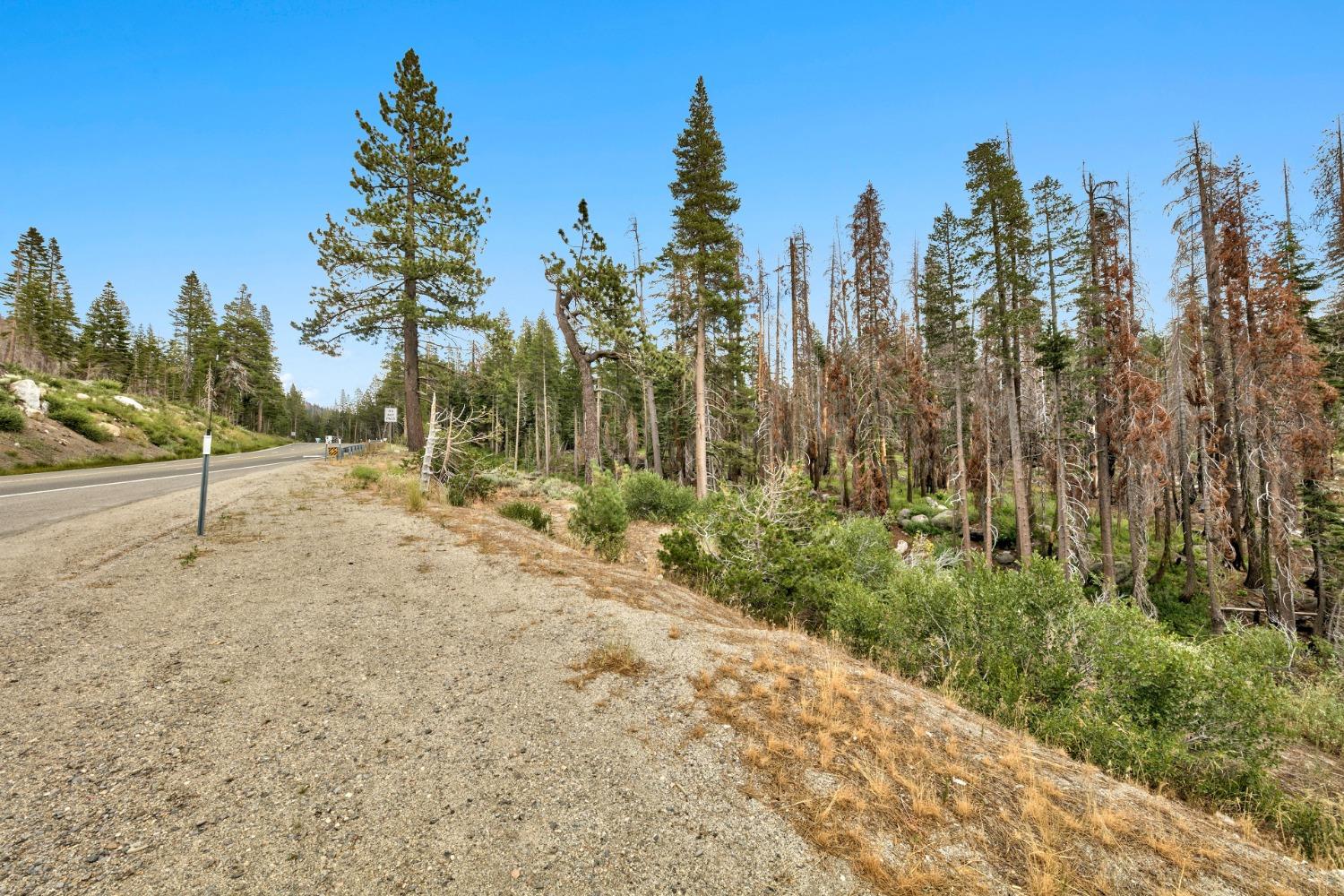 Hwy 50, South Lake Tahoe, California image 4