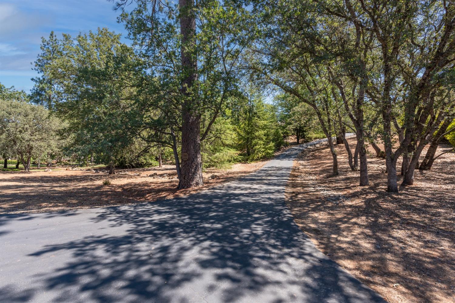 Detail Gallery Image 5 of 50 For 4175 Vega Loop, Shingle Springs,  CA 95682 - 5 Beds | 3/1 Baths