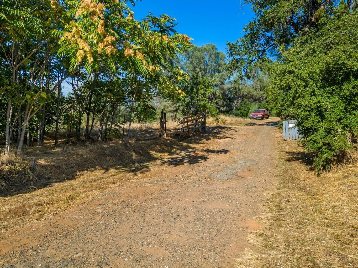 Vierra Road, Rackerby, California image 5