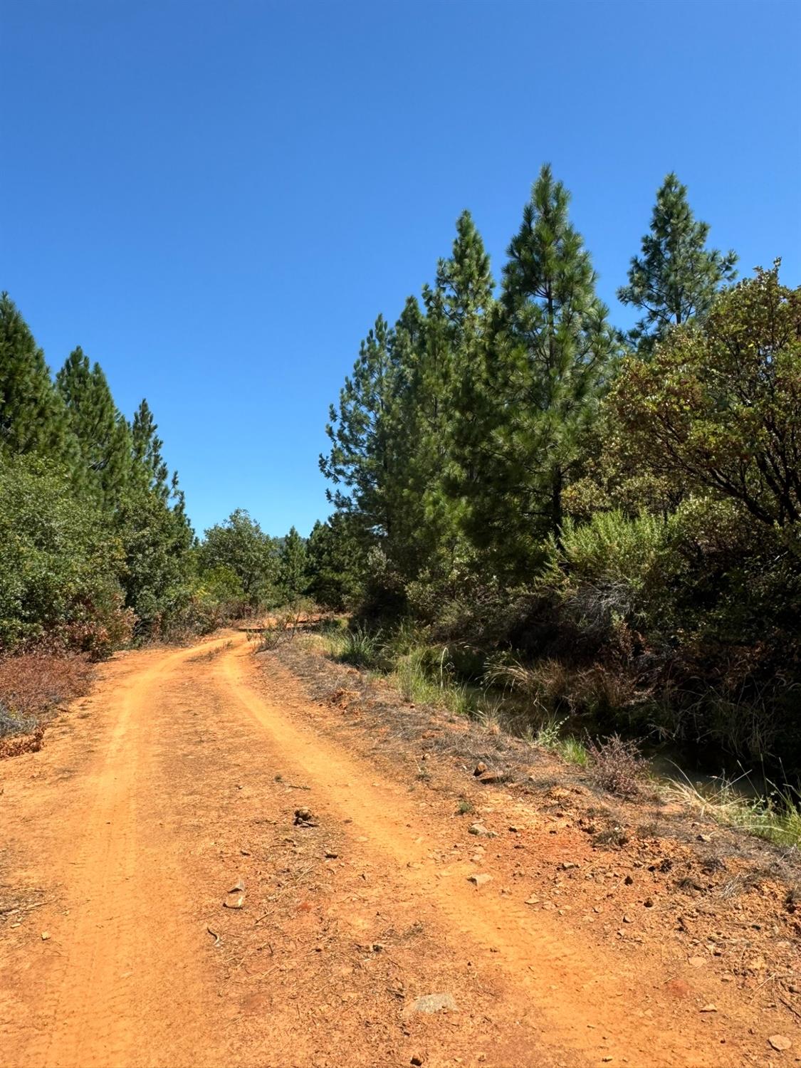 Marysville Road, Dobbins, California image 6