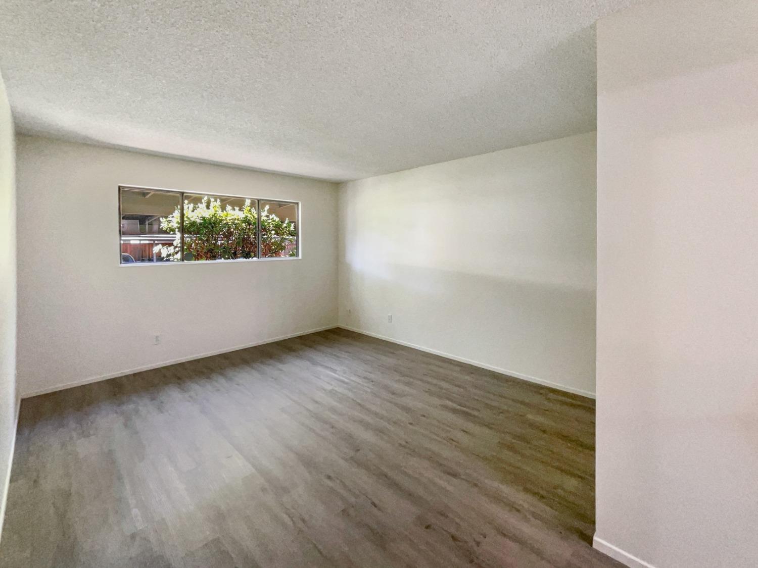 Photo #3: 224087458 Listing 