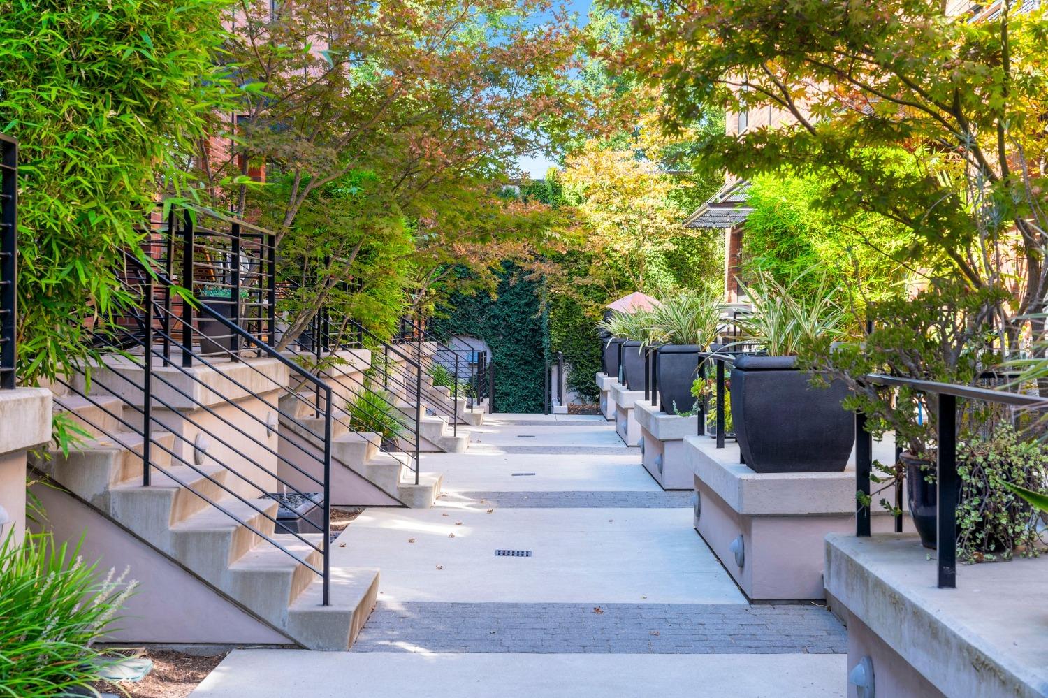 E Walk, Sacramento, CA, 95816-5925