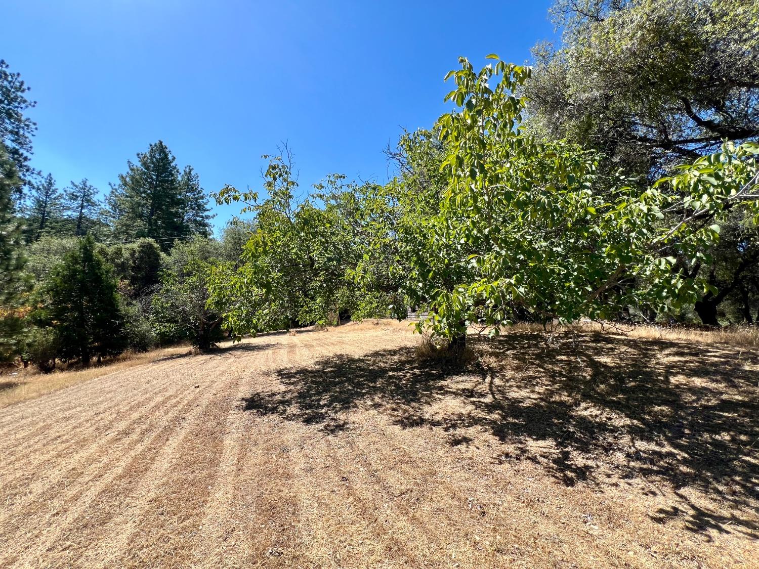 Omo Ranch Road, Somerset, California image 23