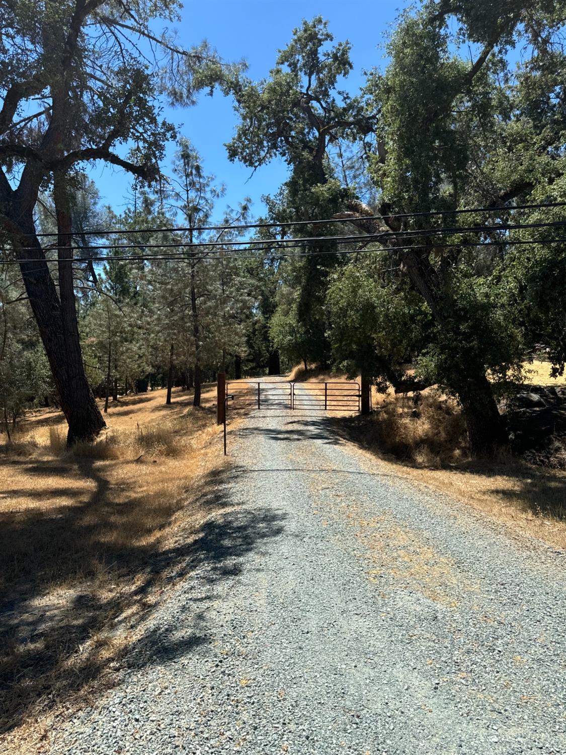 Mount Aukum Road, Somerset, California image 2