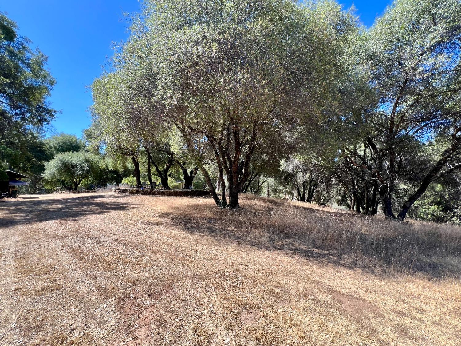 Omo Ranch Road, Somerset, California image 24