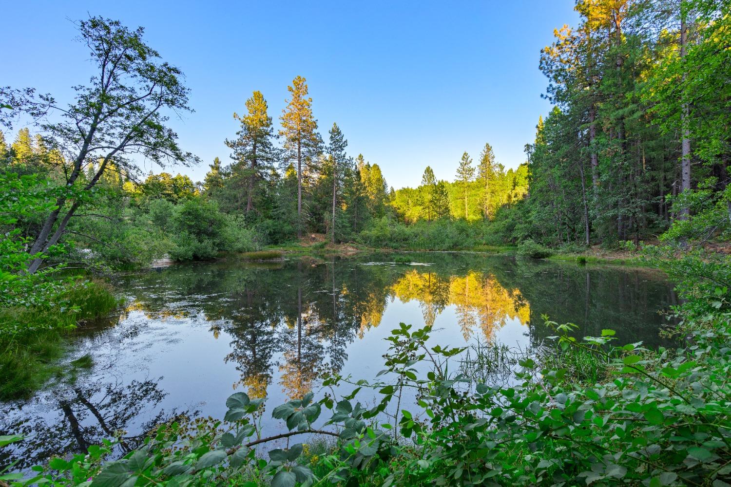 Detail Gallery Image 38 of 54 For 11992 Red Gate Rd, Nevada City,  CA 95959 - – Beds | – Baths