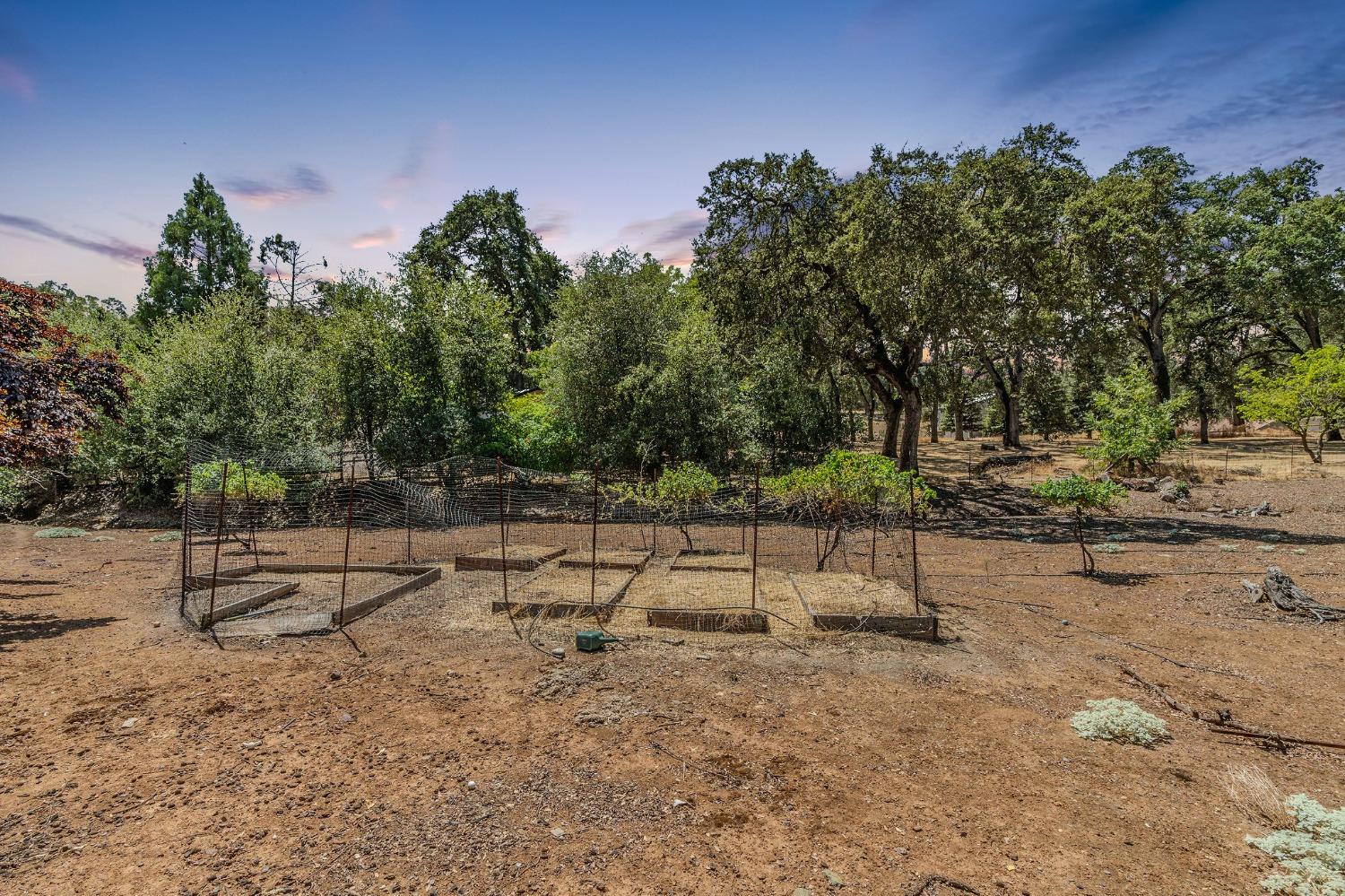 Detail Gallery Image 7 of 63 For 7488 Westhill Rd, Valley Springs,  CA 95252 - 4 Beds | 2/1 Baths