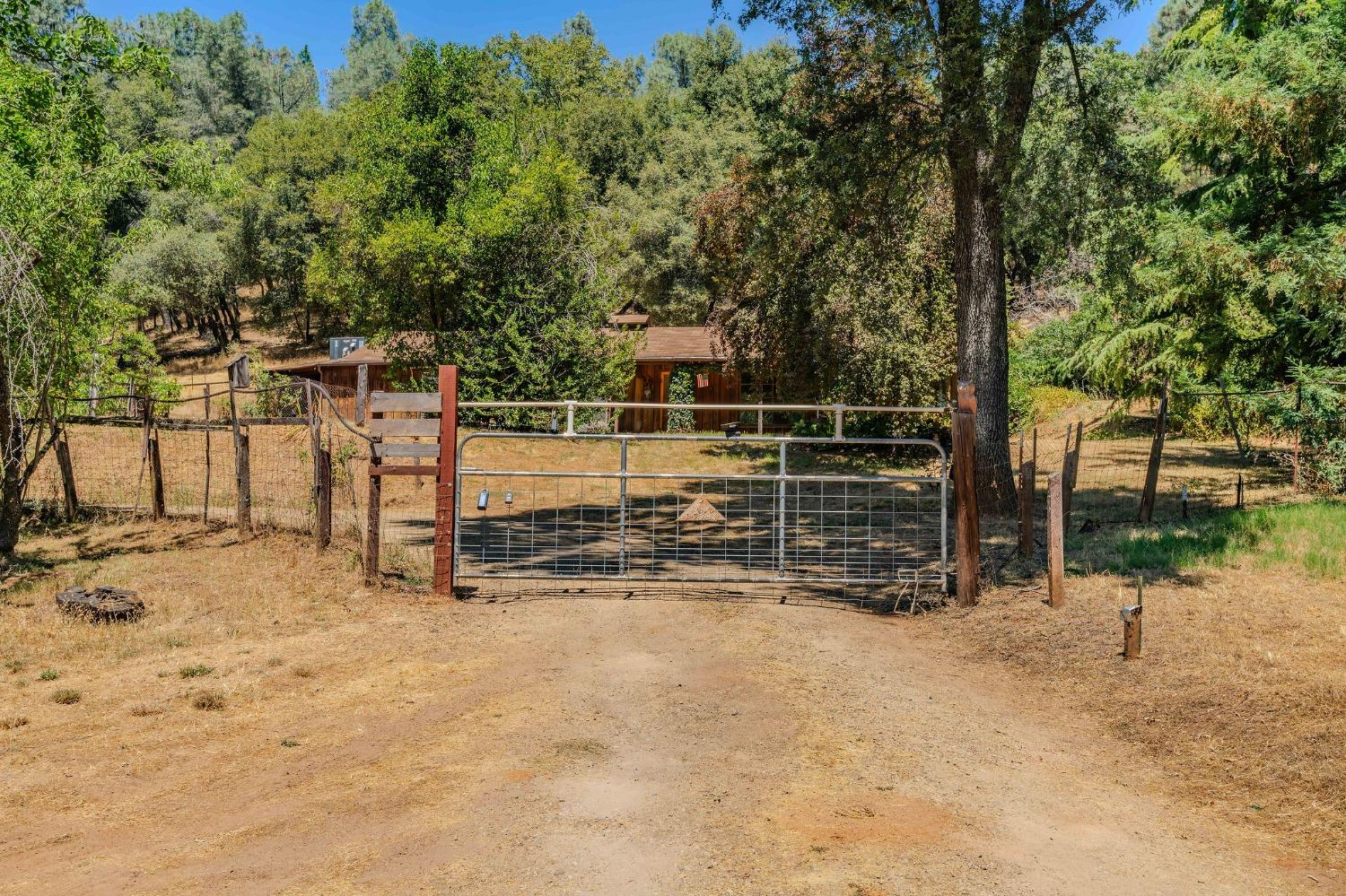 Climax Road, Jackson, California image 3