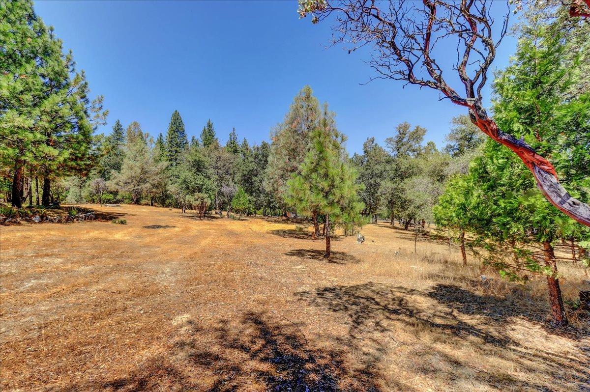 Detail Gallery Image 84 of 97 For 13050 Discovery Way, Nevada City,  CA 95959 - 2 Beds | 2/1 Baths