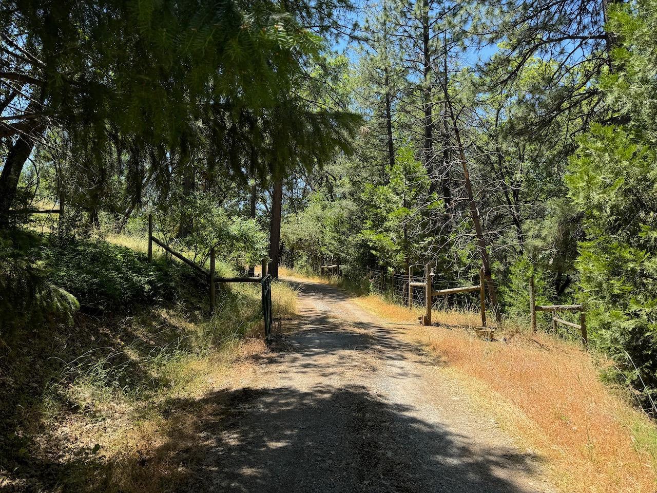 Blue Mountain Road, Wilseyville, California image 3