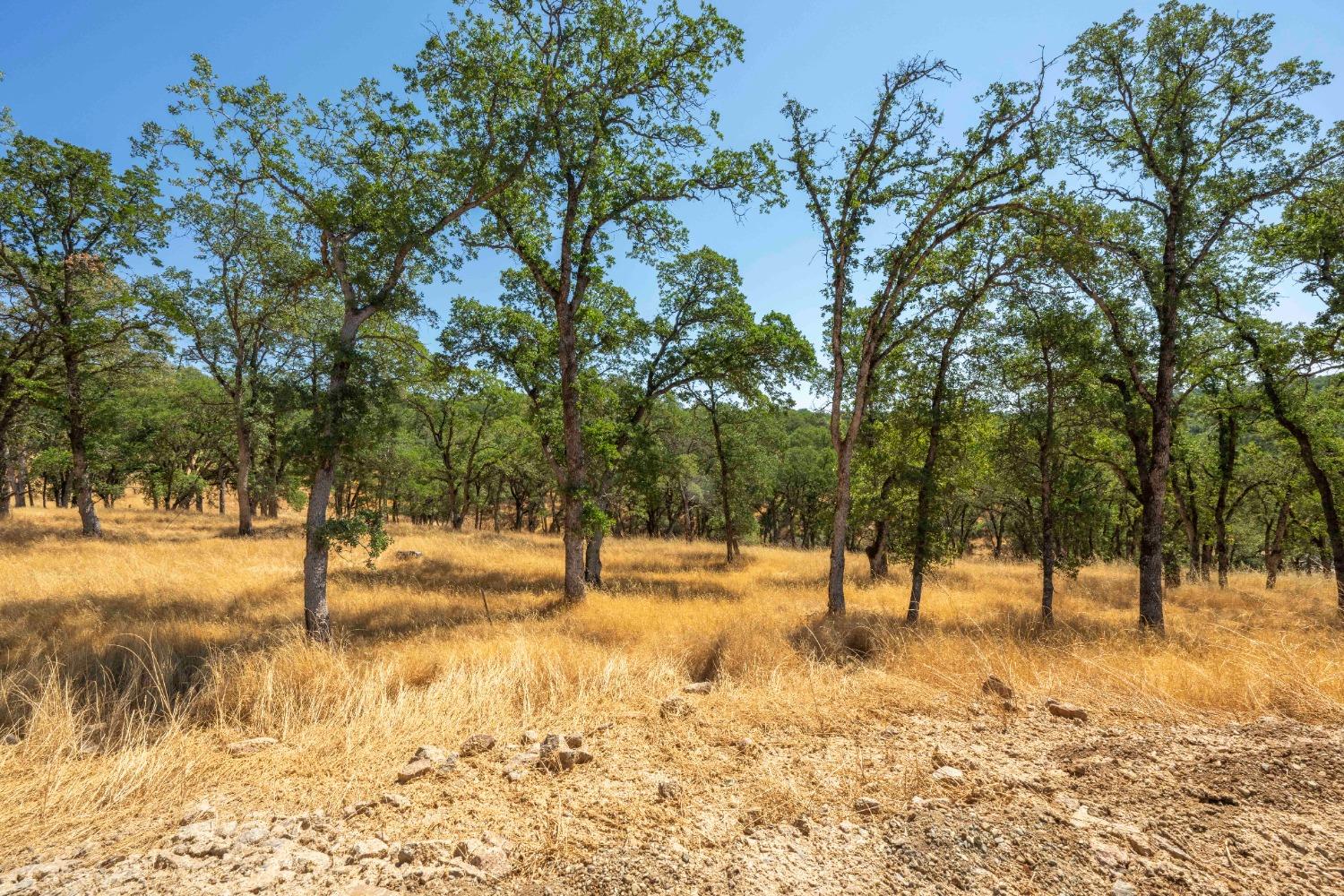 Detail Gallery Image 20 of 21 For 711 Peabody Ct, El Dorado Hills,  CA 95762 - – Beds | – Baths