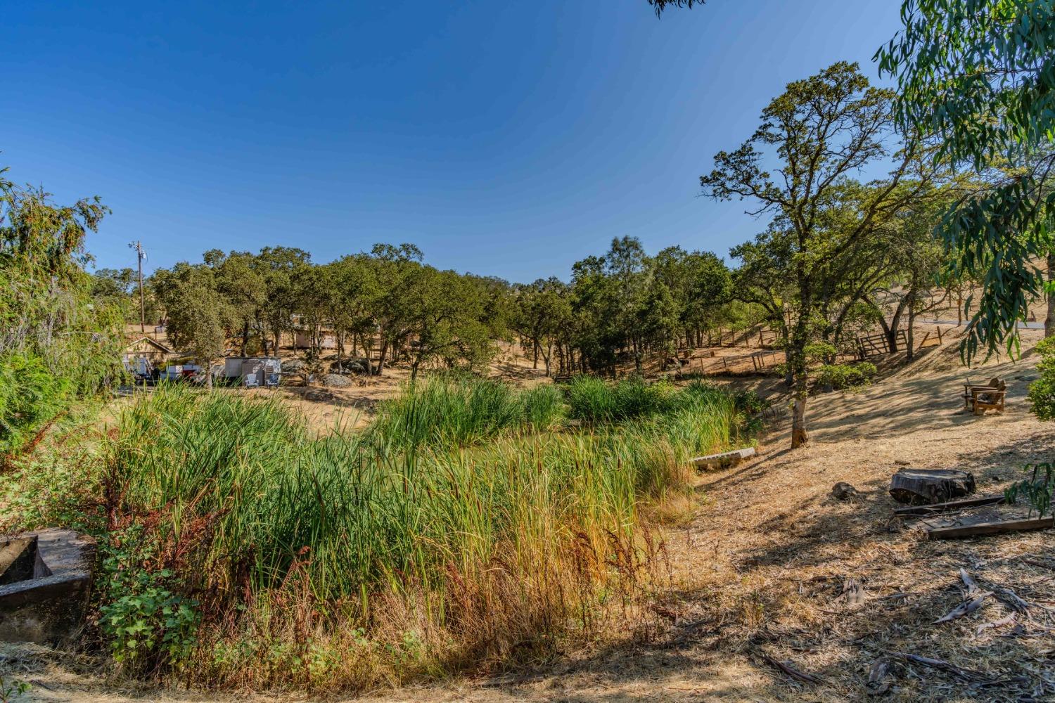 Paolini Road, Valley Springs, California image 49