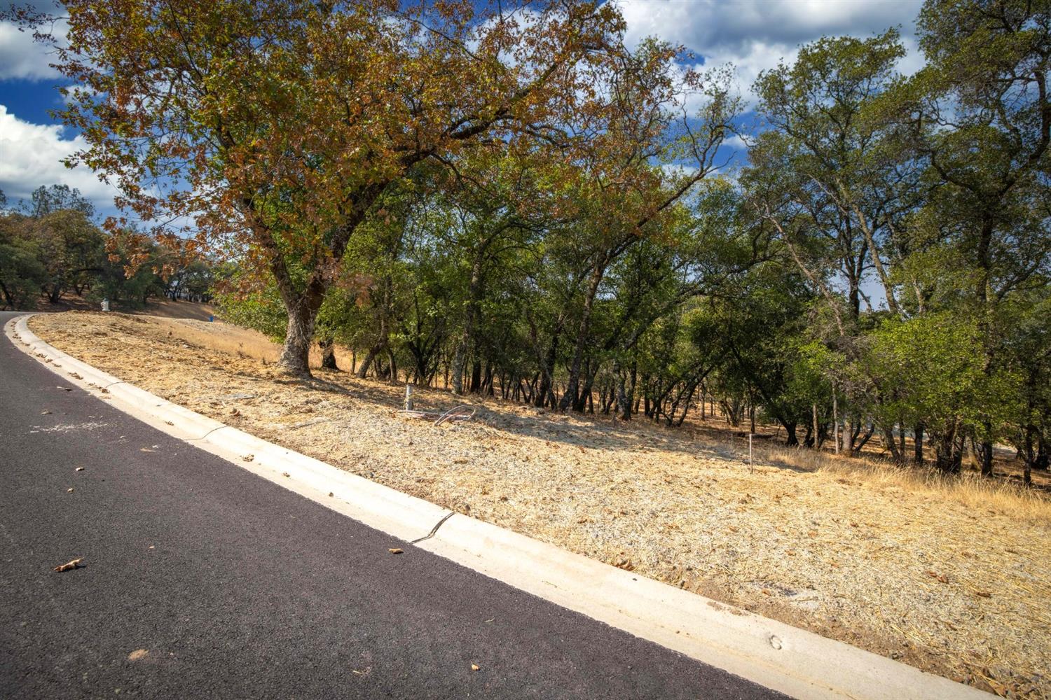 Detail Gallery Image 5 of 26 For 6828 Western Sierra Way, El Dorado Hills,  CA 95762 - – Beds | – Baths