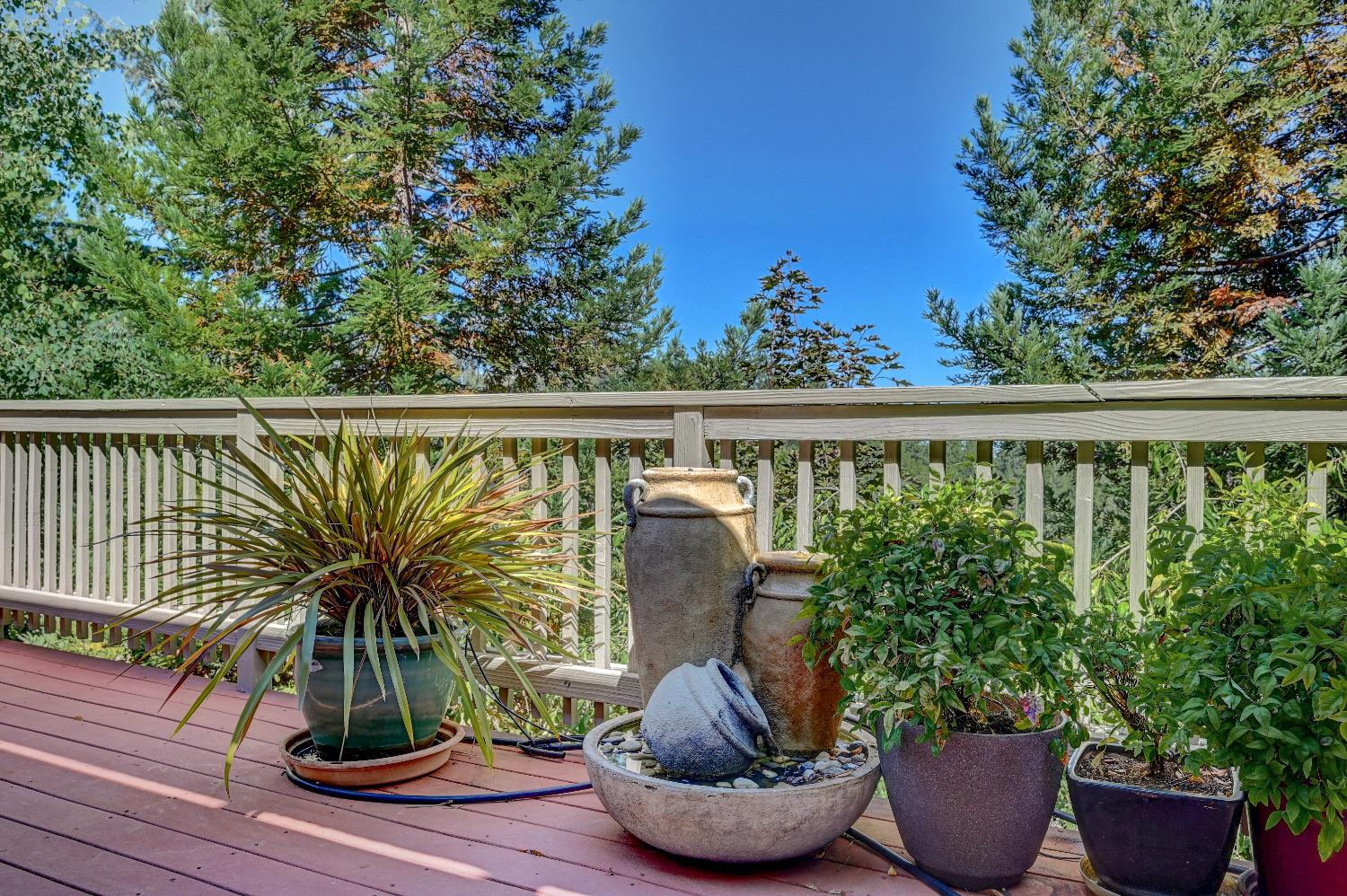 Detail Gallery Image 31 of 63 For 260 Forest Meadows Dr, Murphys,  CA 95247 - 3 Beds | 2 Baths