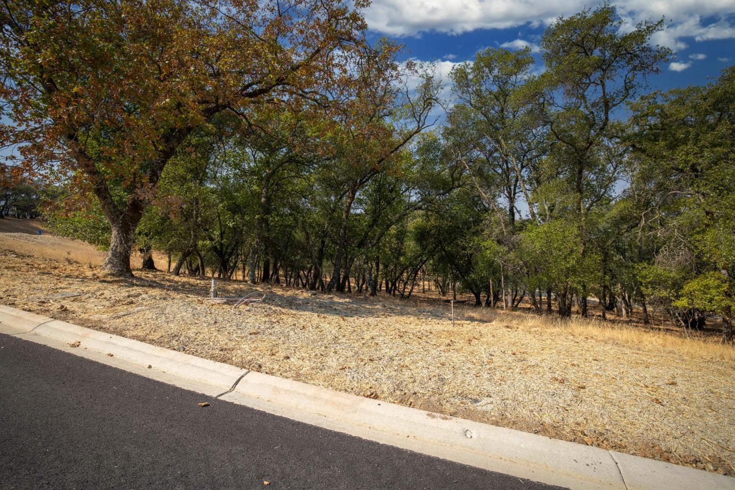 Detail Gallery Image 7 of 26 For 6828 Western Sierra Way, El Dorado Hills,  CA 95762 - – Beds | – Baths