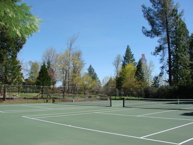 Detail Gallery Image 56 of 63 For 260 Forest Meadows Dr, Murphys,  CA 95247 - 3 Beds | 2 Baths