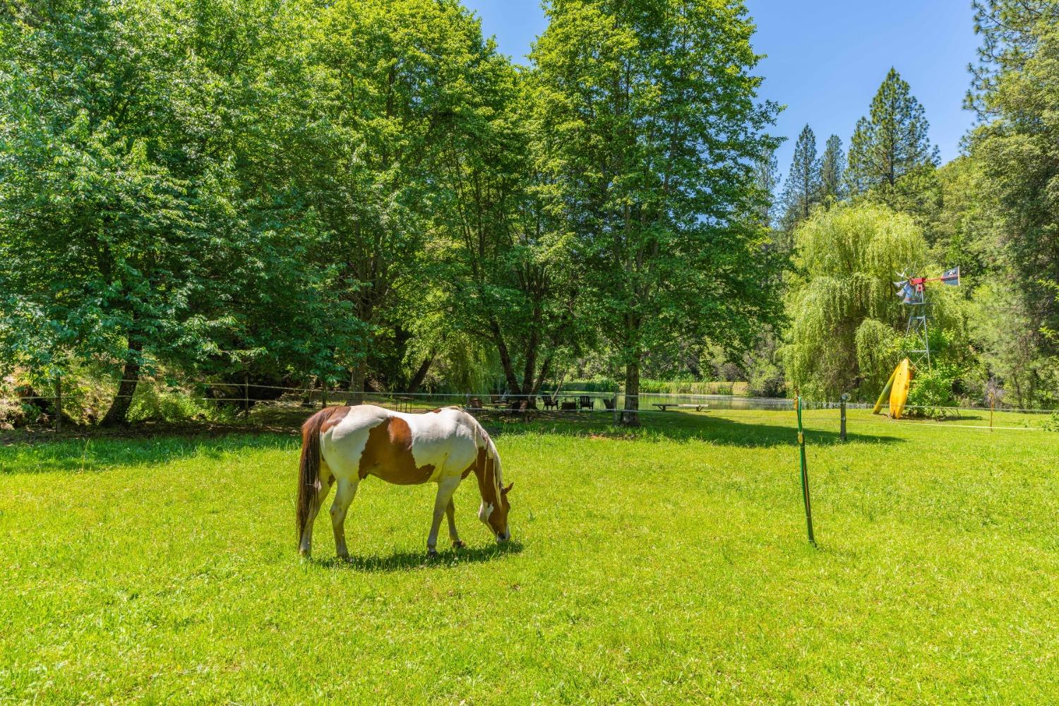 Detail Gallery Image 69 of 94 For Address Is Not Disclosed, Fiddletown,  CA 95629 - 2 Beds | 1/1 Baths