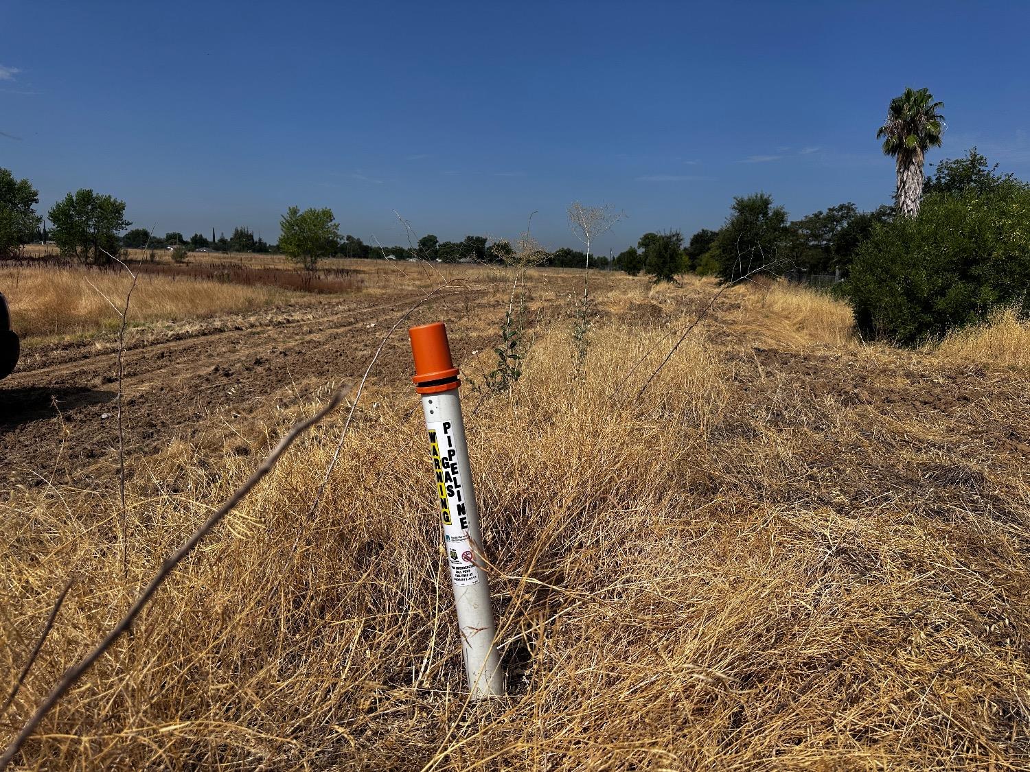 Pasado Road, Olivehurst, California image 12