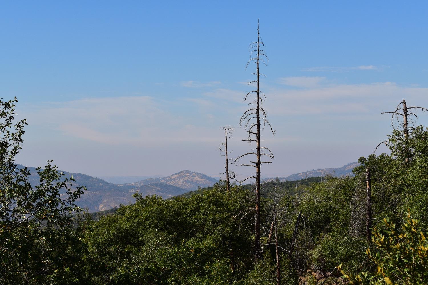 Incense Cedar Trl, Groveland, California image 21