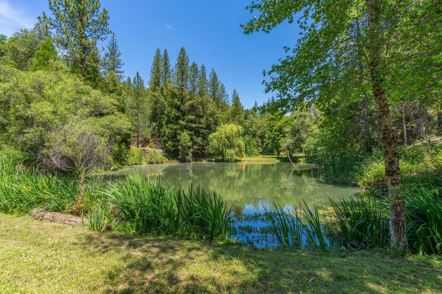 Detail Gallery Image 68 of 94 For Address Is Not Disclosed, Fiddletown,  CA 95629 - 2 Beds | 1/1 Baths