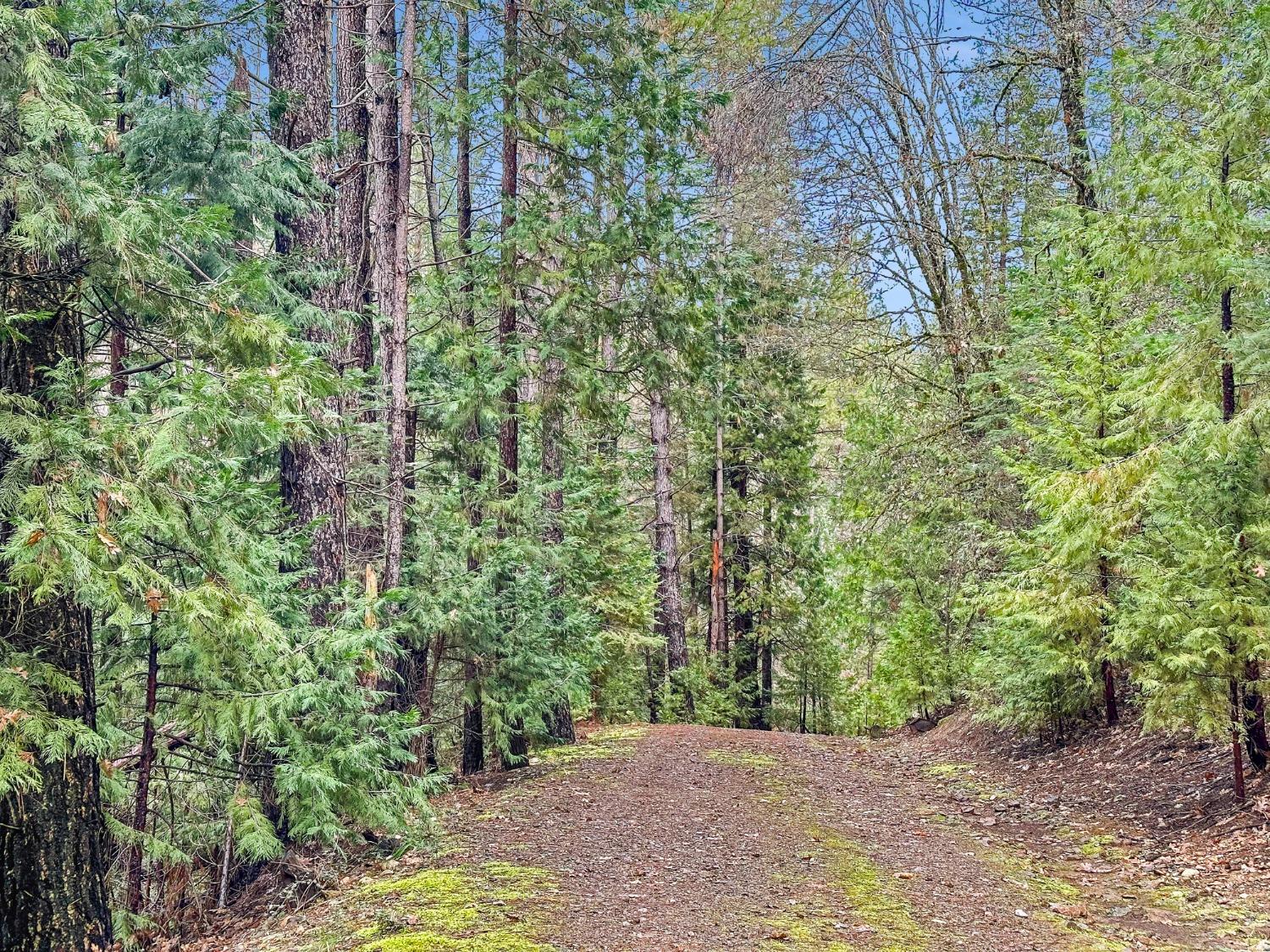 Detail Gallery Image 4 of 14 For 11945 Rocker Rd, Nevada City,  CA 95959 - 2 Beds | 1 Baths