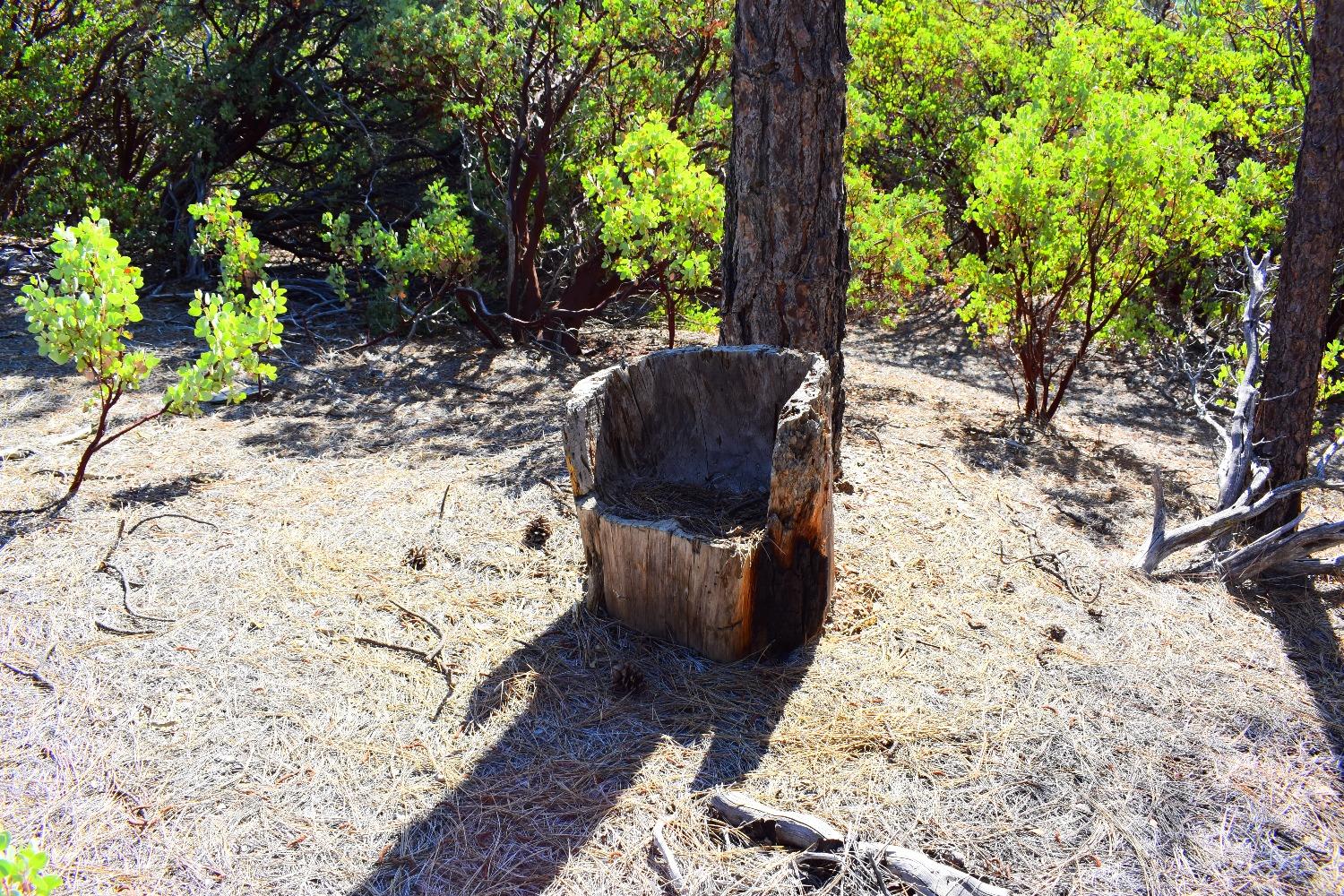 Incense Cedar Trl, Groveland, California image 46