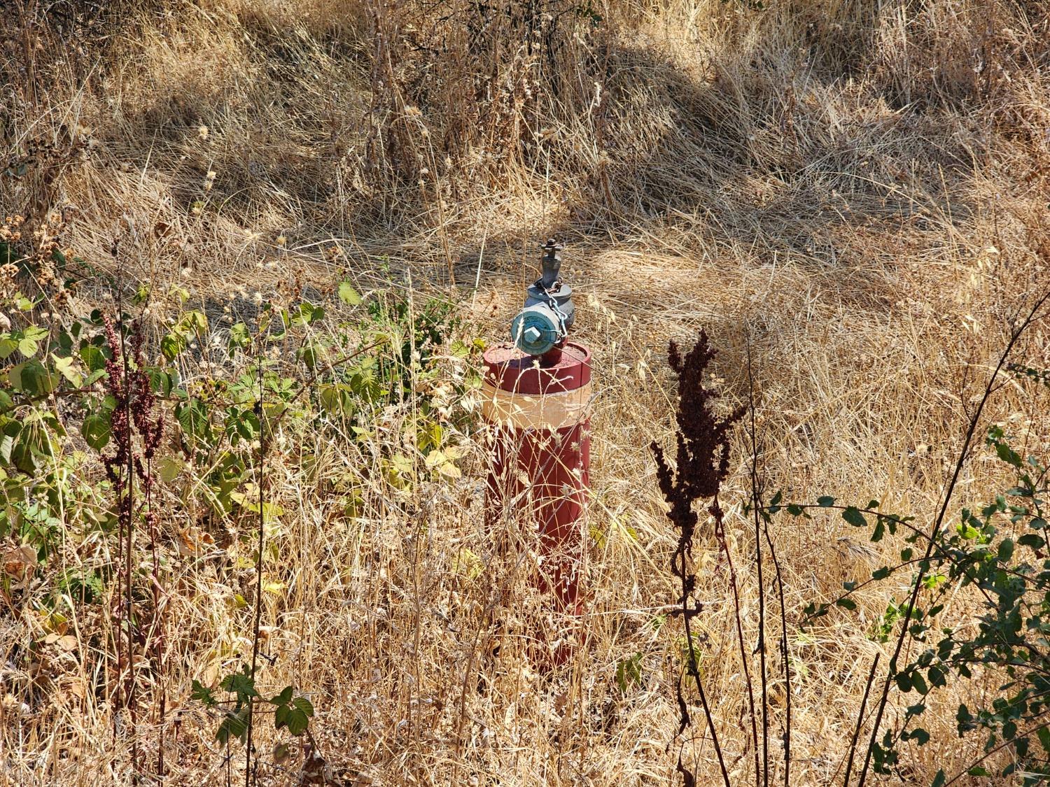 Melody Road, Smartsville, California image 6