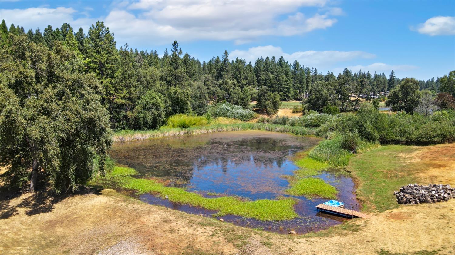 Detail Gallery Image 12 of 53 For 16465 Norlene Way, Grass Valley,  CA 95949 - 3 Beds | 2 Baths