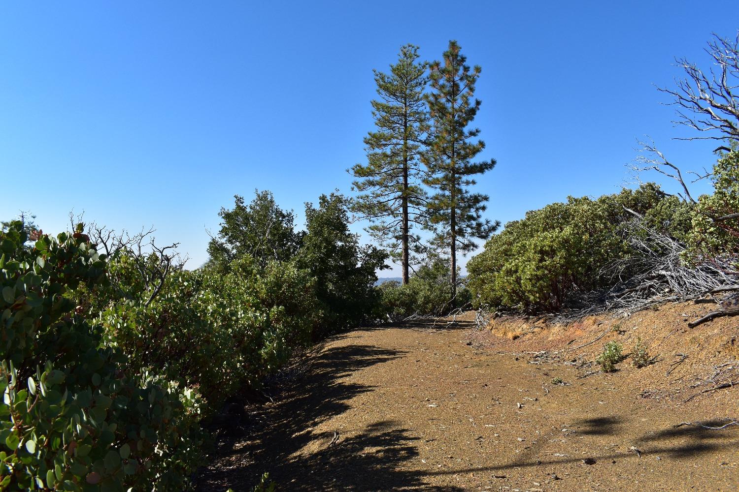 Incense Cedar Trl, Groveland, California image 11