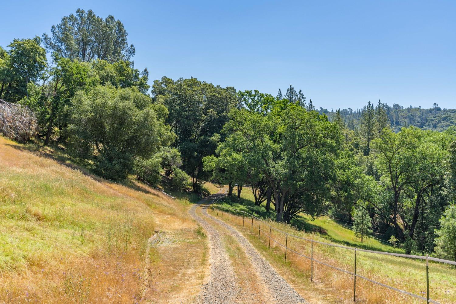 Detail Gallery Image 71 of 94 For Address Is Not Disclosed, Fiddletown,  CA 95629 - 2 Beds | 1/1 Baths