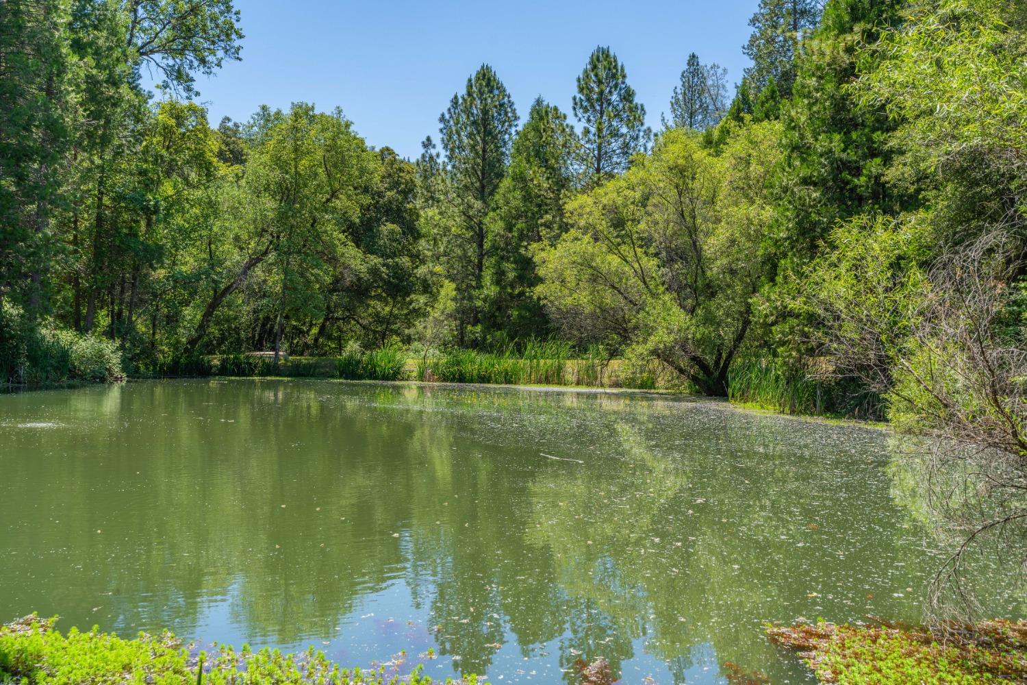 Detail Gallery Image 3 of 94 For Address Is Not Disclosed, Fiddletown,  CA 95629 - 2 Beds | 1/1 Baths