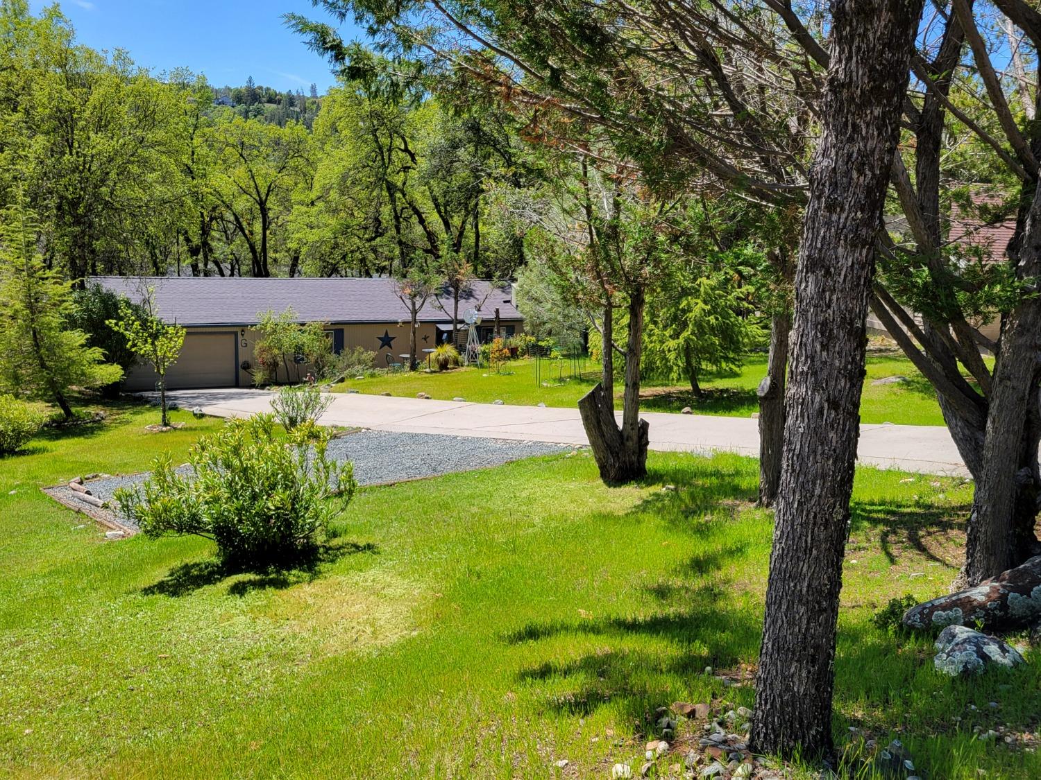 Warbler Way, Penn Valley, California image 3