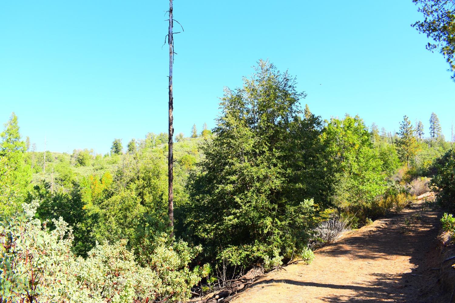 Incense Cedar Trl, Groveland, California image 39