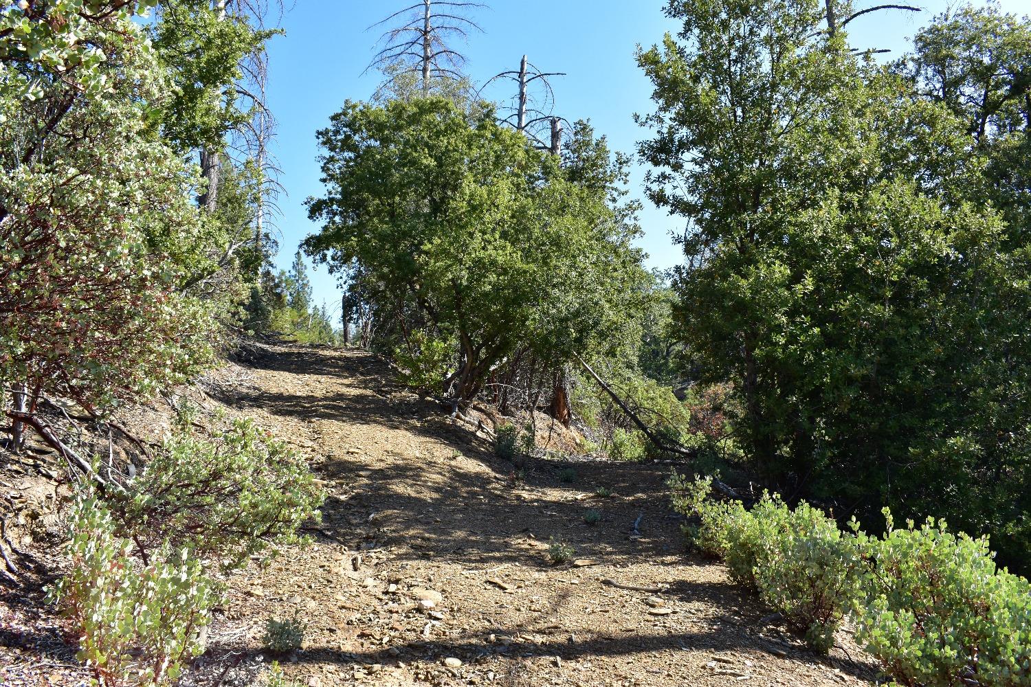 Incense Cedar Trl, Groveland, California image 17