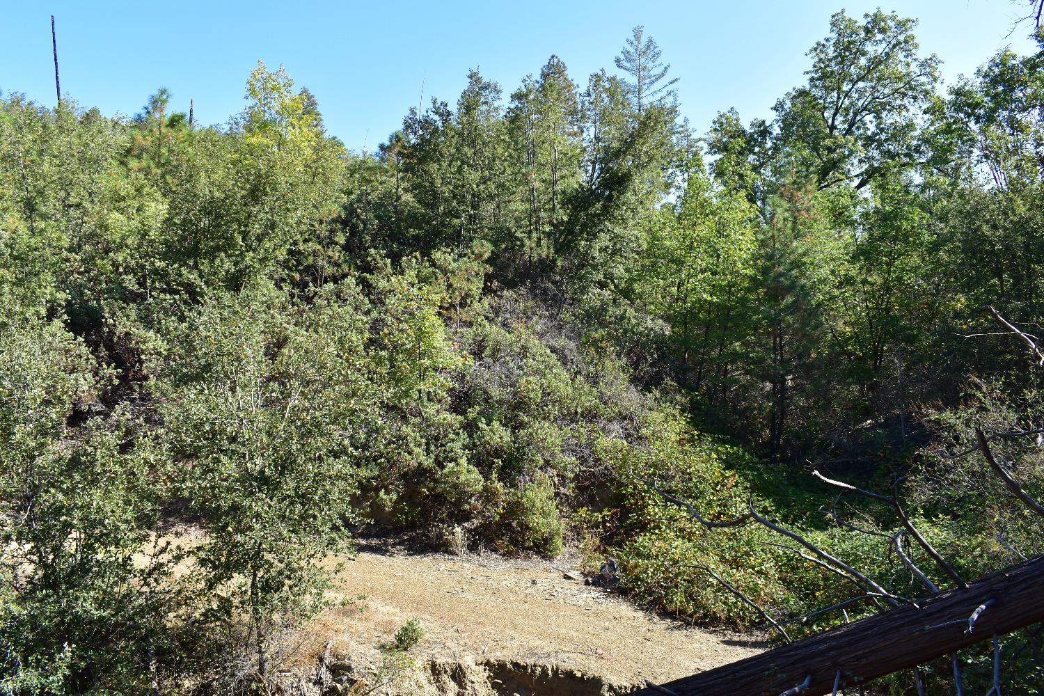 Incense Cedar Trl, Groveland, California image 35