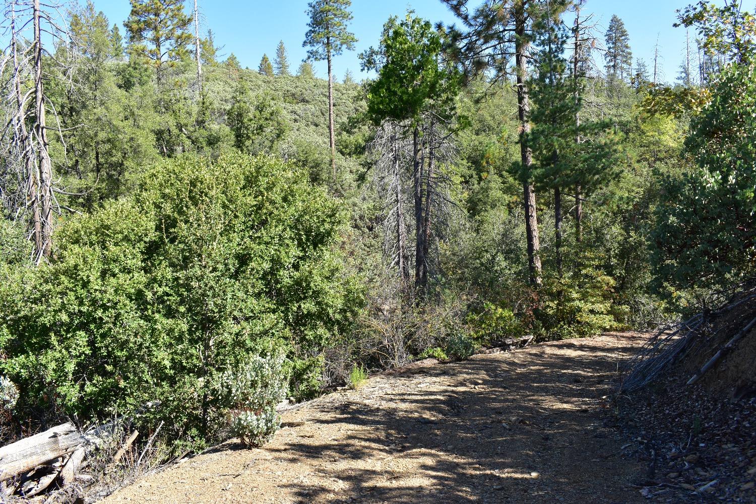 Incense Cedar Trl, Groveland, California image 36