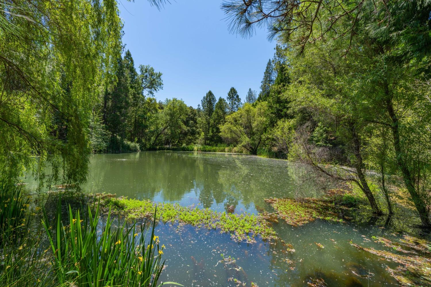 Detail Gallery Image 67 of 94 For Address Is Not Disclosed, Fiddletown,  CA 95629 - 2 Beds | 1/1 Baths