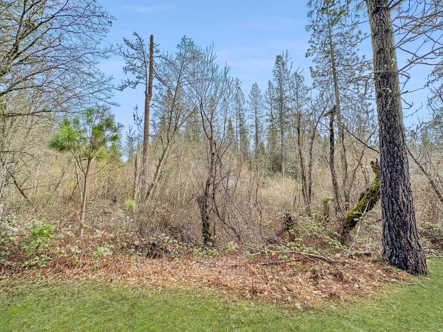 Detail Gallery Image 5 of 14 For 11945 Rocker Rd, Nevada City,  CA 95959 - 2 Beds | 1 Baths