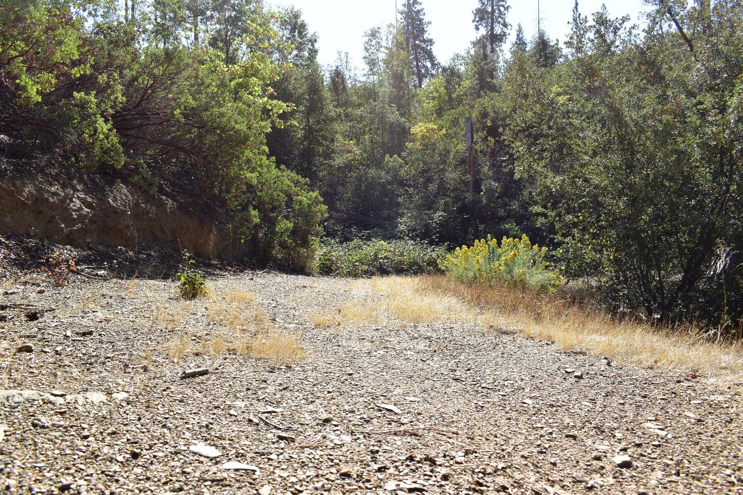 Incense Cedar Trl, Groveland, California image 31