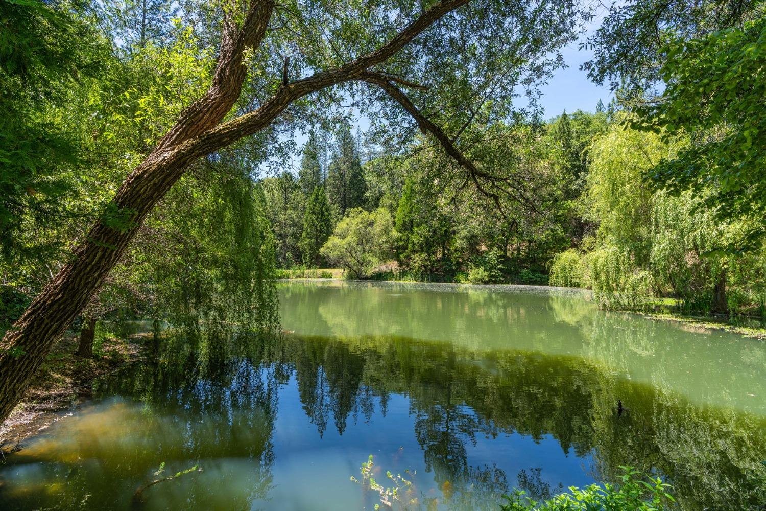 Detail Gallery Image 66 of 94 For Address Is Not Disclosed, Fiddletown,  CA 95629 - 2 Beds | 1/1 Baths