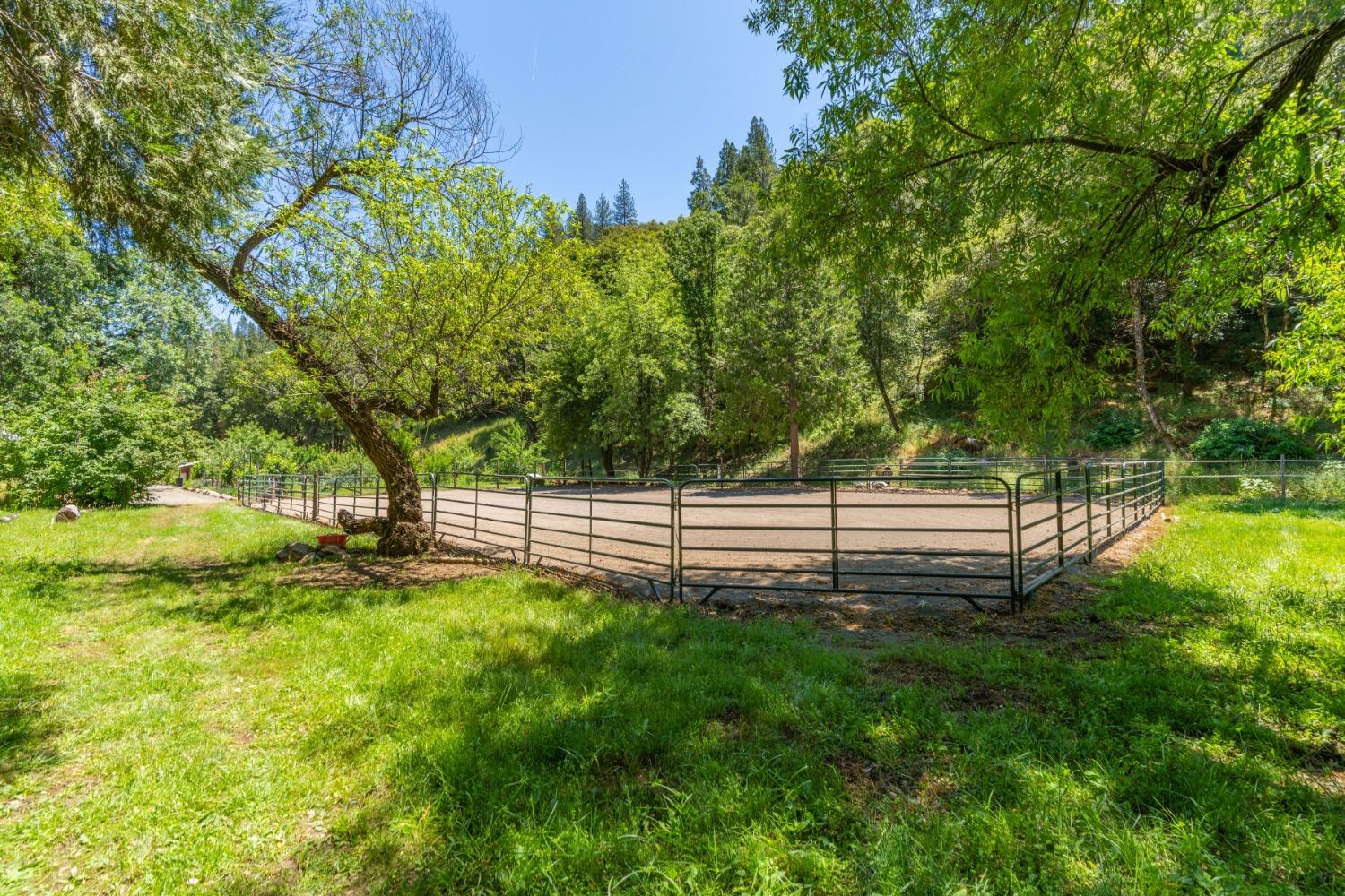 Detail Gallery Image 61 of 94 For Address Is Not Disclosed, Fiddletown,  CA 95629 - 2 Beds | 1/1 Baths