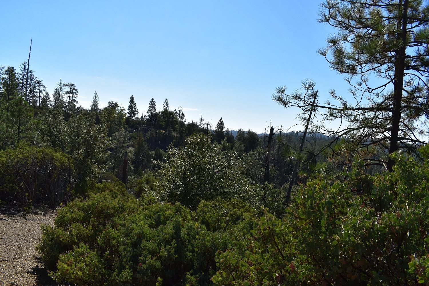 Incense Cedar Trl, Groveland, California image 10