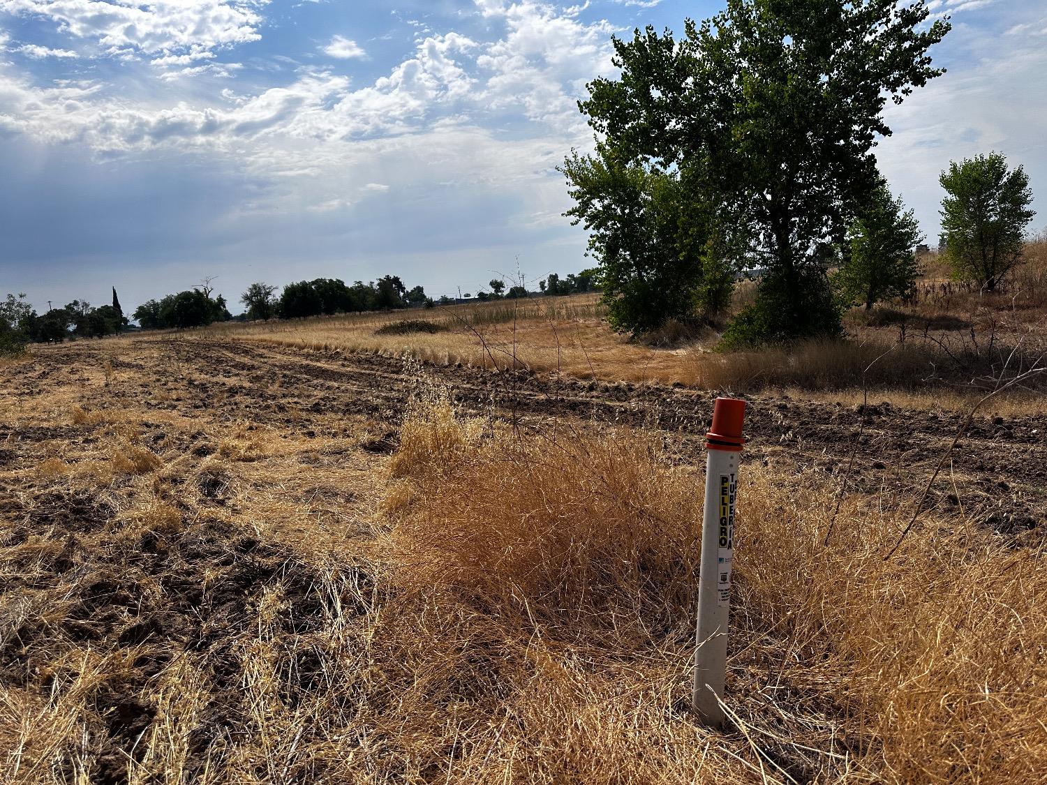 Pasado Road, Olivehurst, California image 13