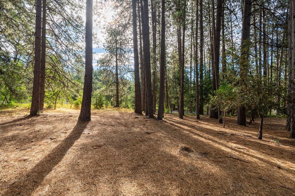 Detail Gallery Image 57 of 76 For 848 Nevada St, Nevada City,  CA 95959 - 3 Beds | 2/1 Baths